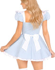Storybook Alice Costume