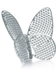 Lucky Butterfly