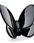 Lucky Butterfly