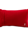 I'm Not a Control Freak Pillow