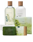 Thymes Eucalyptus Energizing