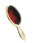 Gold Hairbrush Mix Bristle