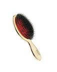 Gold Hairbrush Mix Bristle