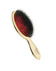 Gold Hairbrush Mix Bristle