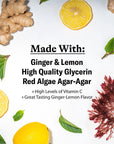 Sugarfree Ginger Lemon Pastilles for Throat and Voices