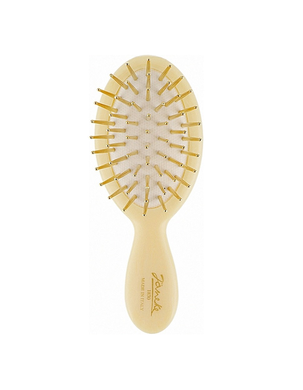 Hairbrush with Gold Pins, Horn