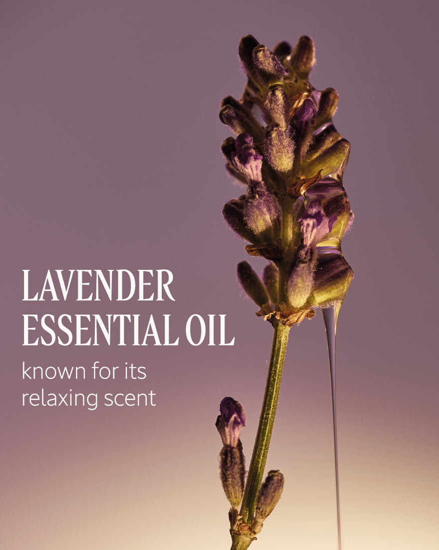 L'Occitane Le Savon Lavender Liquid Hand Soap