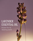 L'Occitane Le Savon Lavender Liquid Hand Soap