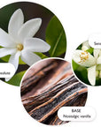 Flora Luminare | Body