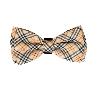 Dogs Bow Tie