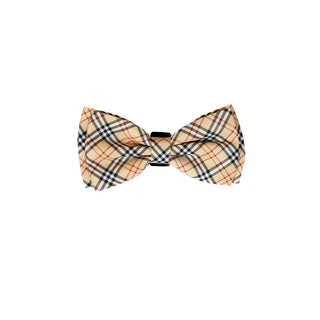 Dogs Bow Tie