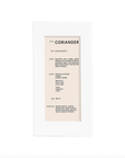Coriander