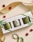 Frasier Fir Frosted Plaid Candle
