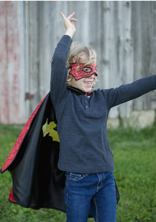 Spider-Bat Reversible Cape