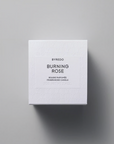 Burning Rose