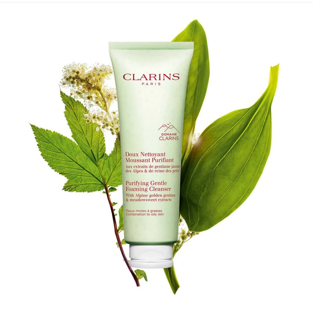 Purifying Gentle Foaming Face Cleanser