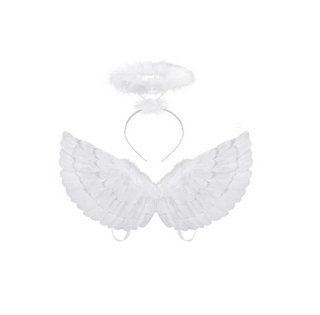 Angel Wings & Headband