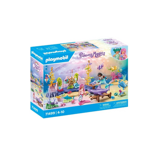 Playmobil Princess Magic