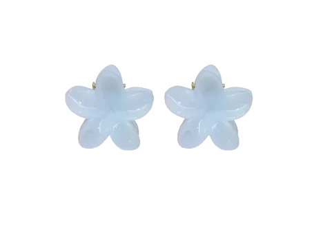 Baby Super Bloom Clip Set