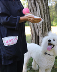 Pet Towelettes