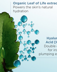 Hydra-Essentiel Night Moisturizer with Double Hyaluronic Acid