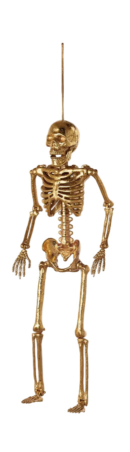 Skeleton