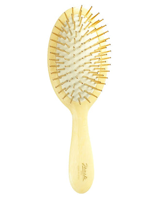 Hairbrush with Gold Pins, Horn